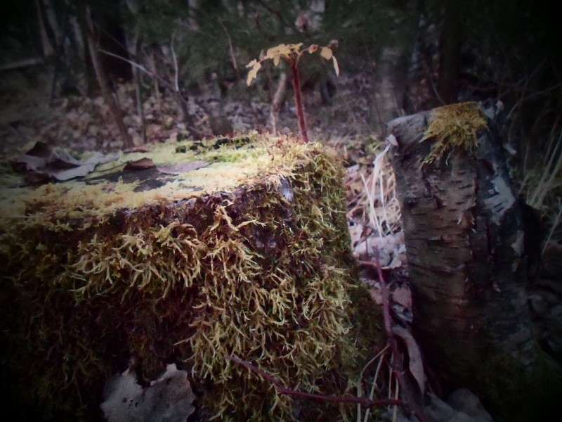 ... ����� ���� �� �� PhotoGeek.ru #������ ��� �������