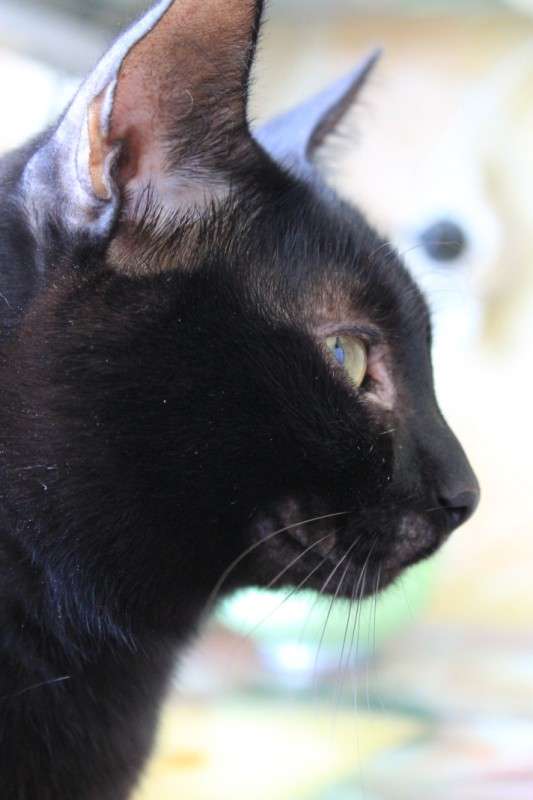 ���� ����� ���� �� �� PhotoGeek.ru #�������� ��� #�������� ���