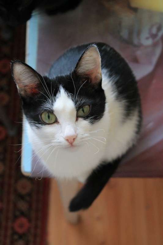 ����� ����� ���� �� �� PhotoGeek.ru #�������� ��� #�������� ���