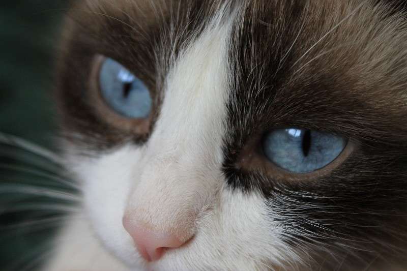 ����� ����� ���� �� �� PhotoGeek.ru #�������� ��� #�������� ���