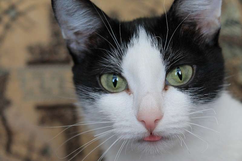 ������ ����� ���� �� �� PhotoGeek.ru #�������� ��� #�������� ���