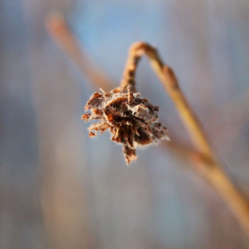 ��������� ���� ����� ���� �� �� PhotoGeek.ru #������ ��� ������� #����� ��������������