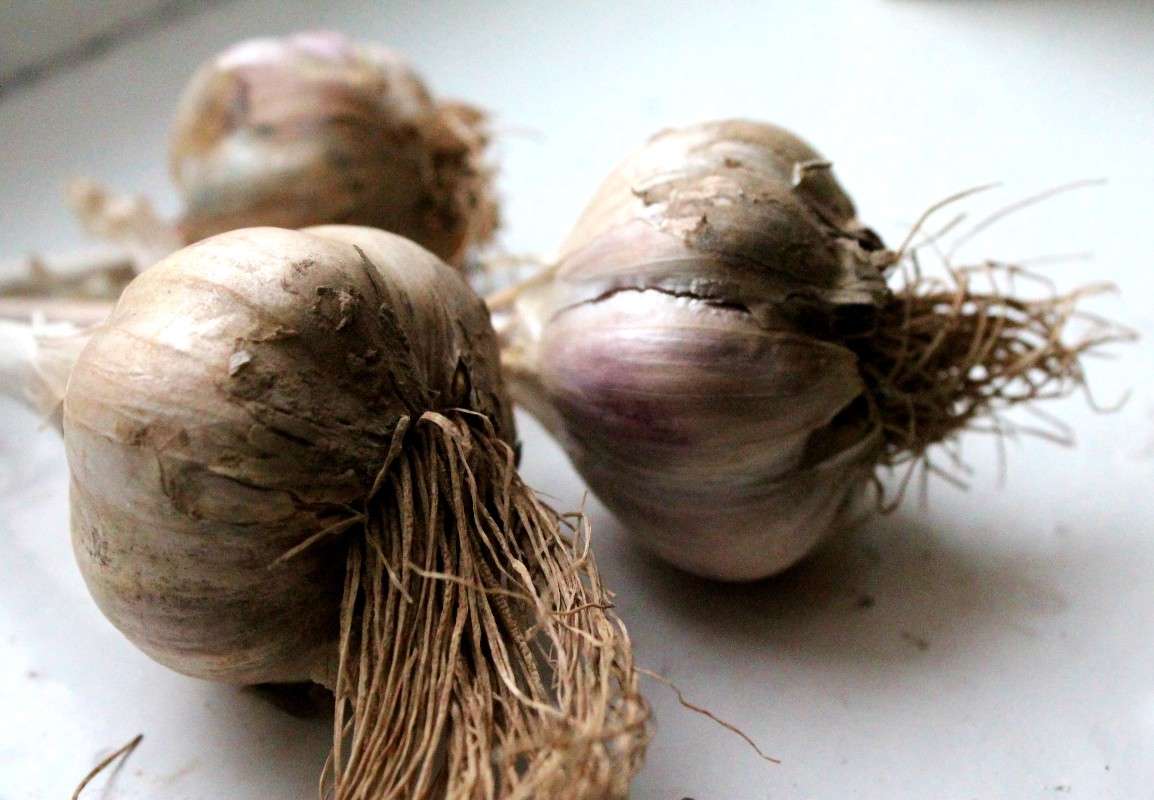 ... ����� ���� �� �� PhotoGeek.ru #��������� #���������������