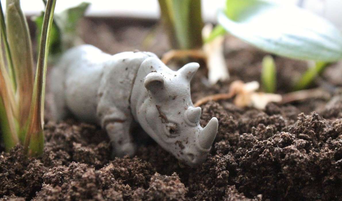 ... ����� ���� �� �� PhotoGeek.ru #������ ��� �������