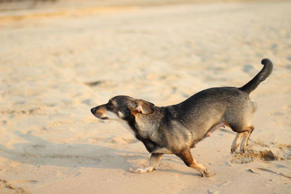 ... ����� ���� ���������� �� PhotoGeek.ru #�������� ��� #������ ��� �������