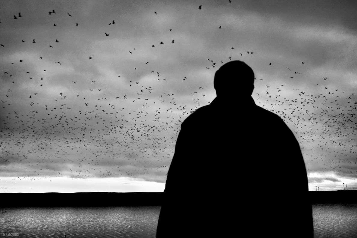 ��������� ��� ����� ������� ���������� (���������) nzah2003 �� PhotoGeek.ru #������ ��� ������� #�������� ���������� #��������������� #�����-�����