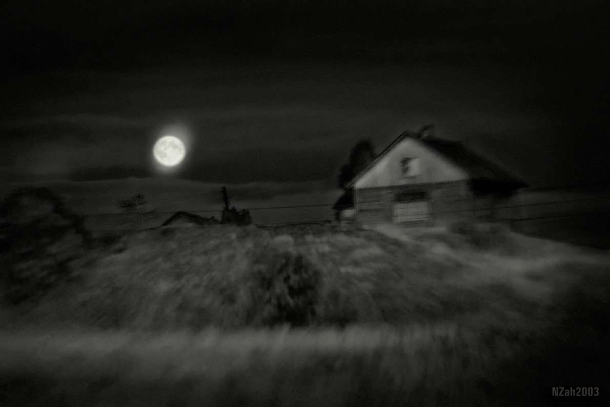 ���������� ����� ������� ���������� (���������) nzah2003 �� PhotoGeek.ru #������ ��� ������� #���� #�����-�����