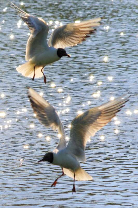 ... ����� ������� ���������� (���������) nzah2003 �� PhotoGeek.ru #�������� ��� #������ ��� ������� #��������� #�����