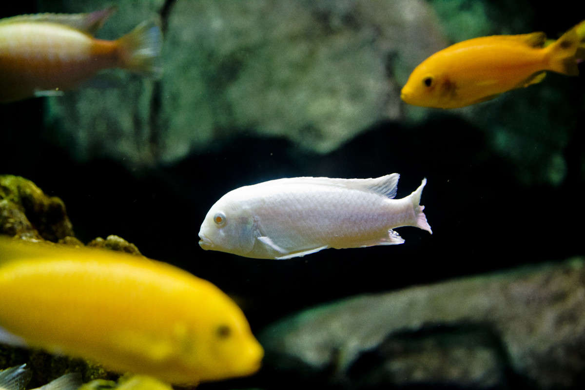 ... ����� No_Name  �� PhotoGeek.ru #�������� ���