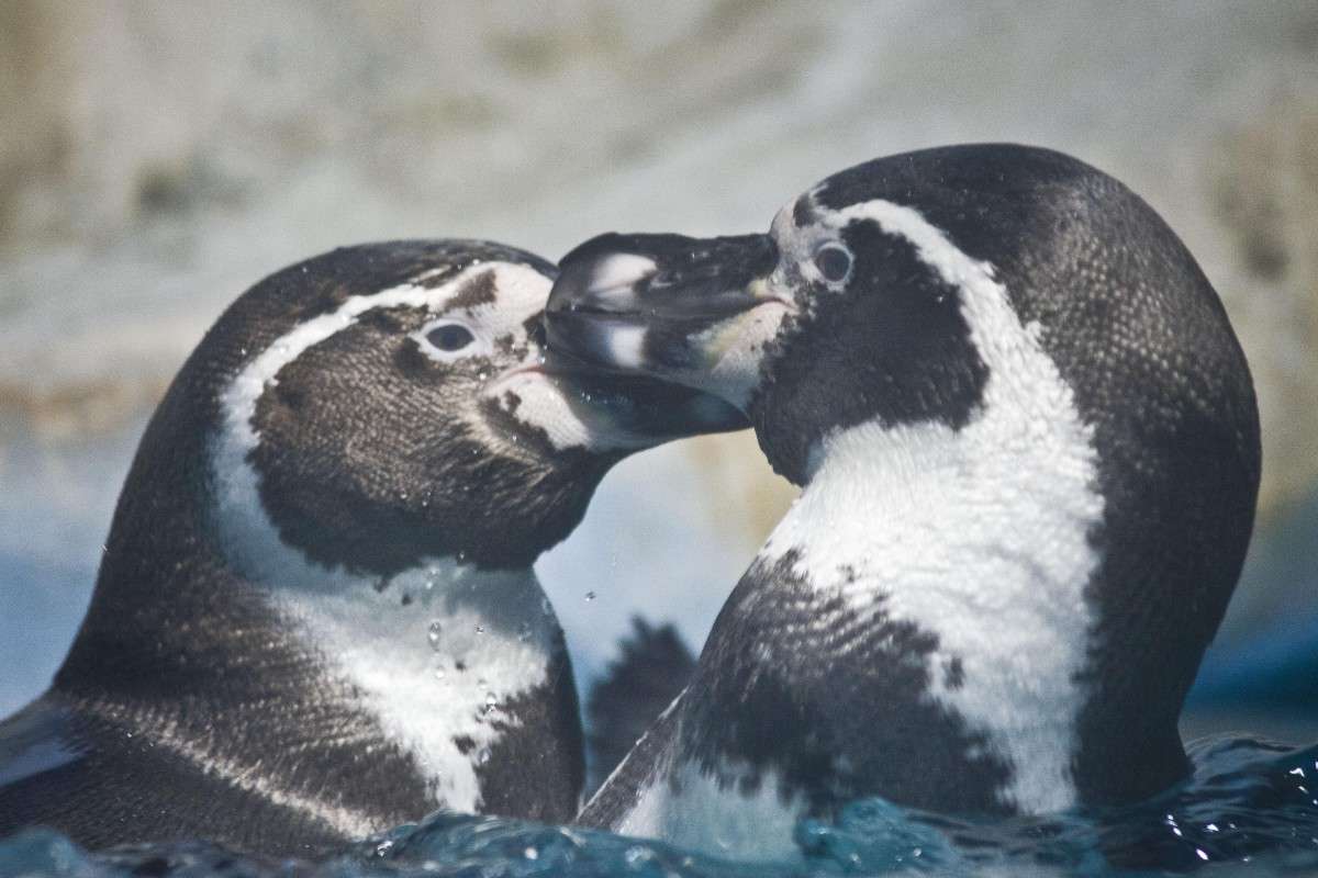 ... ����� No_Name  �� PhotoGeek.ru #�������� ���