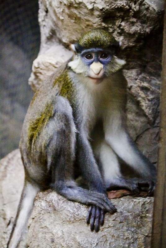 ... ����� No_Name  �� PhotoGeek.ru #�������� ���