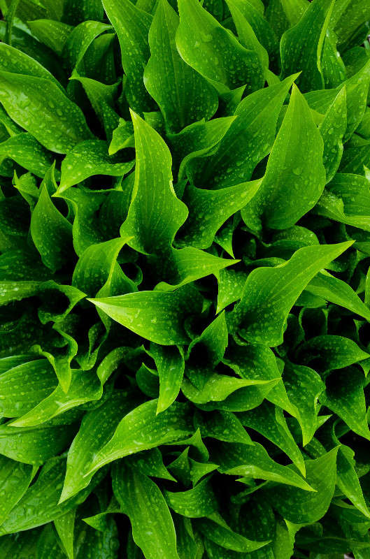 ����� ����� �����  �� PhotoGeek.ru #����� #������ ��� ������� #����� ��������������