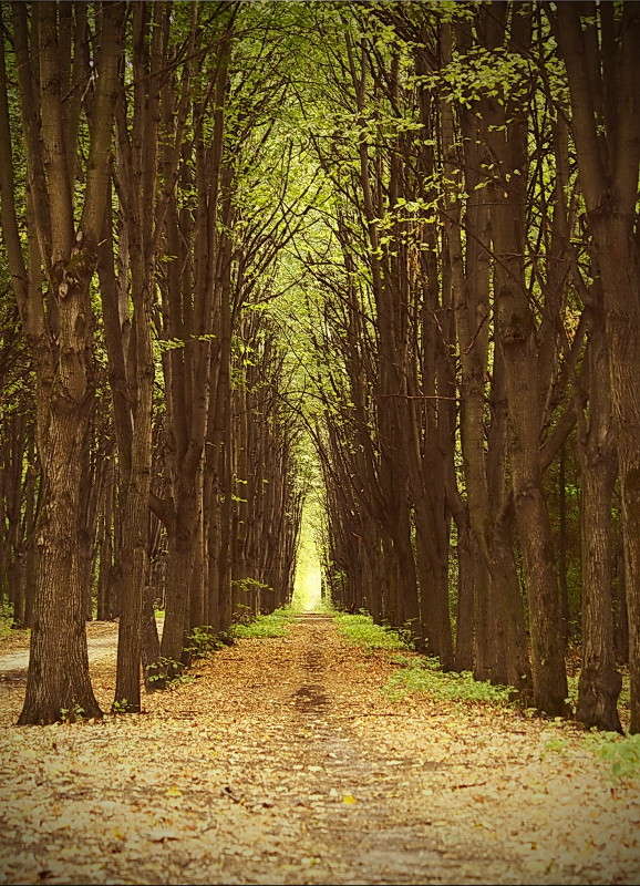 ����� ����� Nikolai Borisyakov �� PhotoGeek.ru #������ ��� ������� #����� ��������������