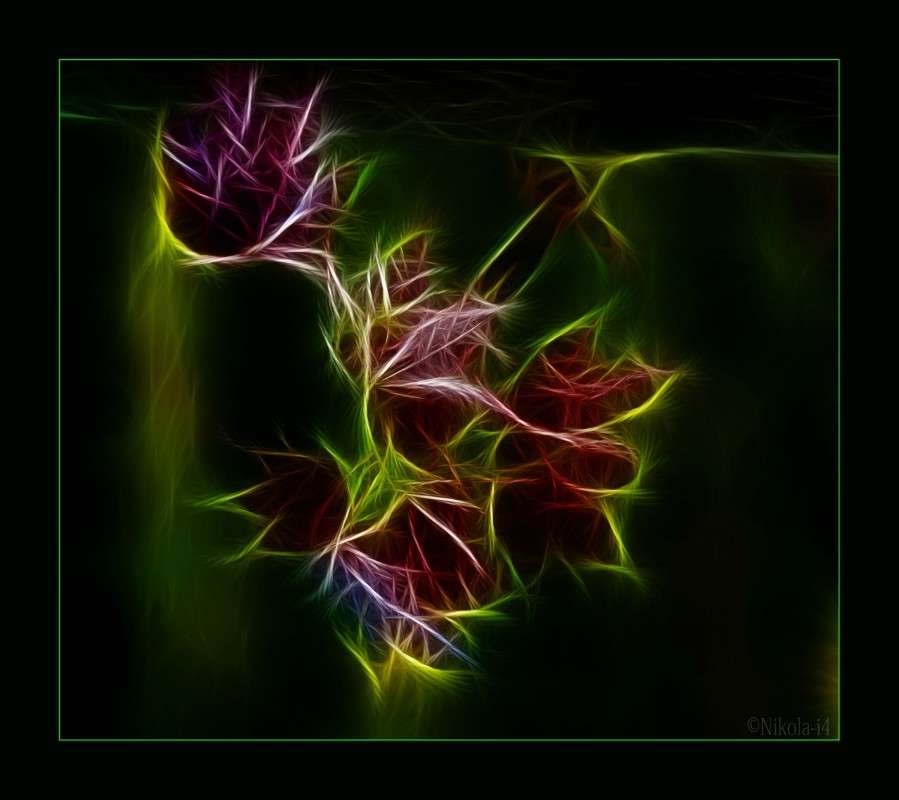 �������� ���� ����� Nikolai Borisyakov �� PhotoGeek.ru #������ ��� ������� #���-�����������