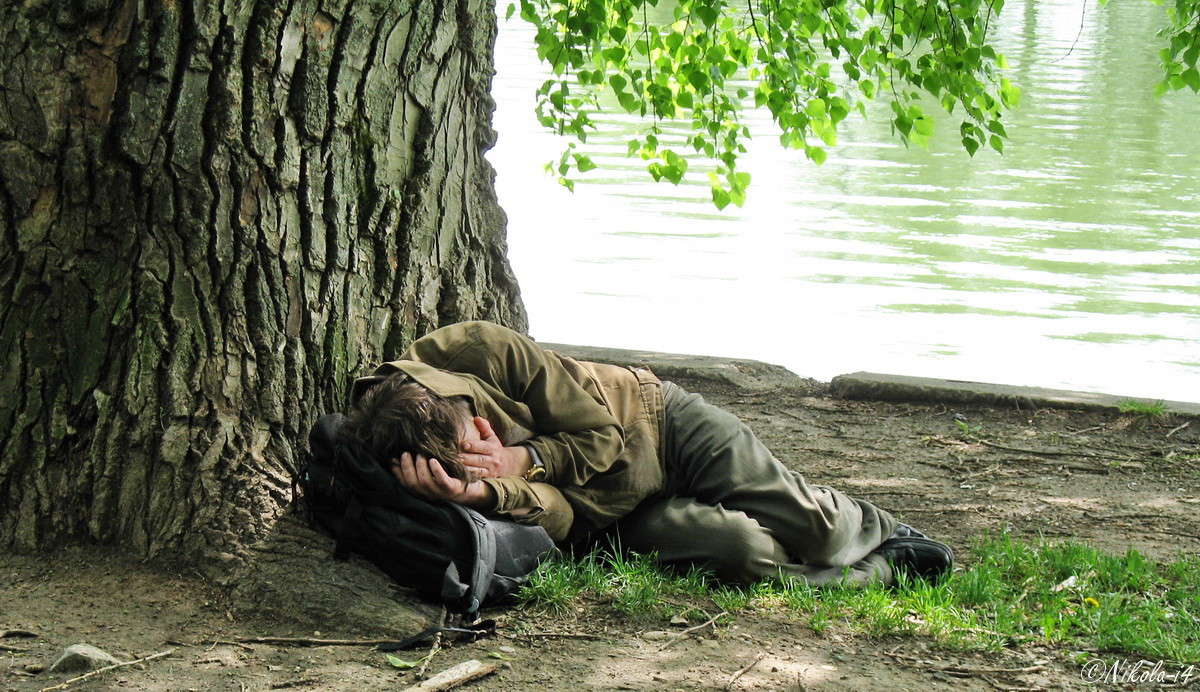 ������ ���������... ����� Nikolai Borisyakov �� PhotoGeek.ru #������ ��� ������� #�������� ���������� #��������� #��������������� #����� ��������