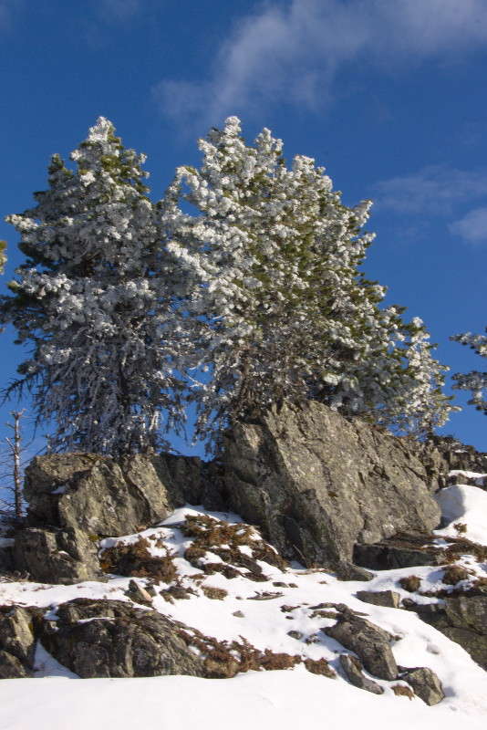 ������� ����� �������  �� PhotoGeek.ru #������ ��� ������� #����� ��������������