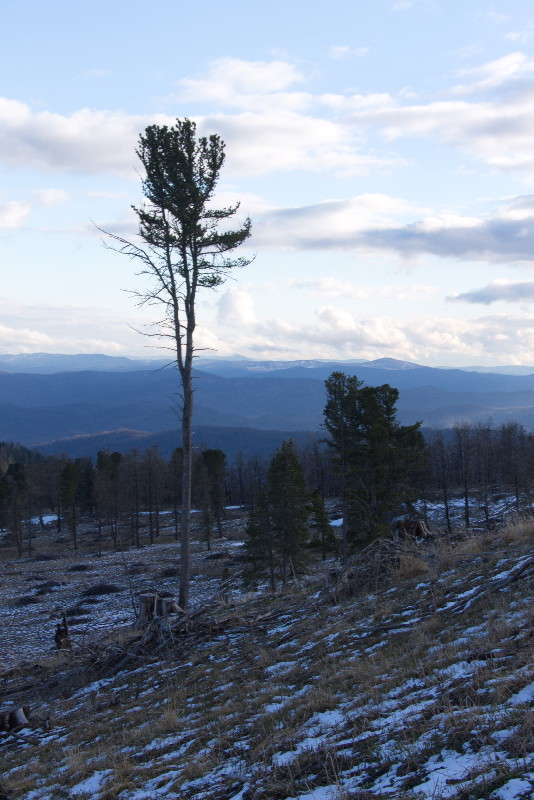 �������� ������ ����� �������  �� PhotoGeek.ru #������ ��� ������� #������