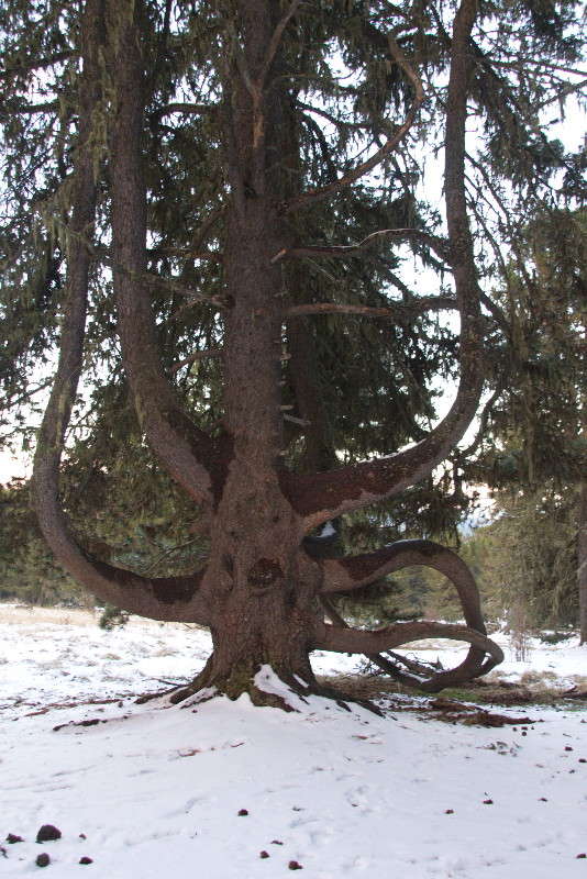 ������� ����� �������  �� PhotoGeek.ru #������ ��� ������� #������