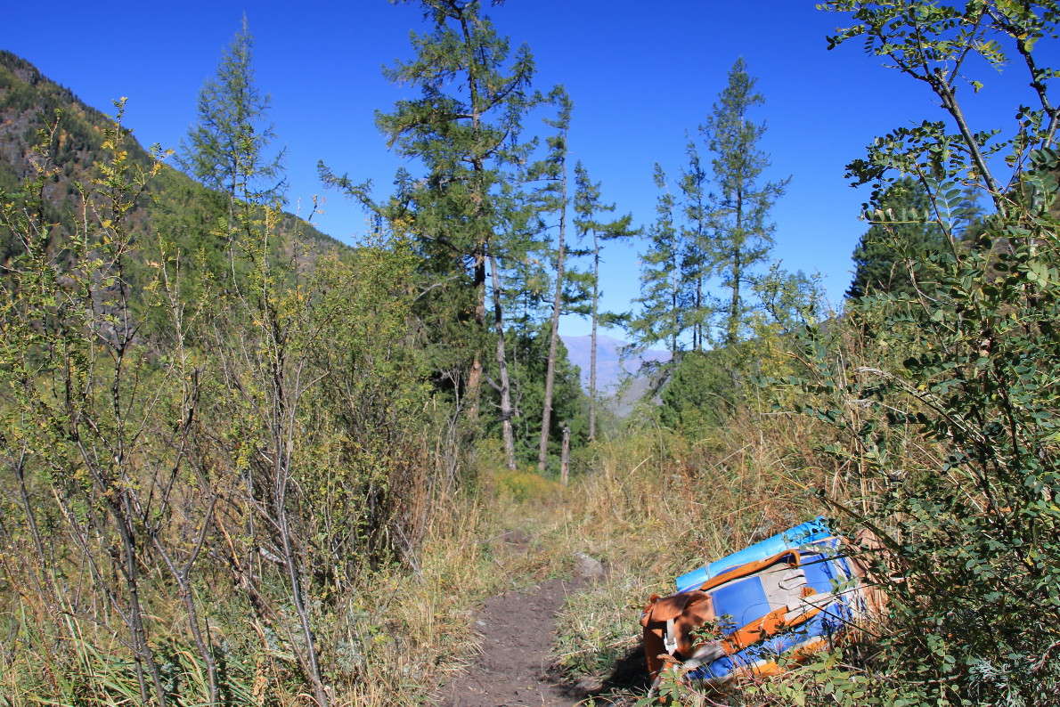 ������ ����� �������  �� PhotoGeek.ru #������ ��� ������� #������