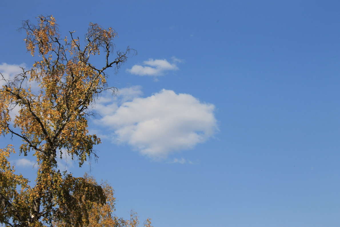 ������ ����� �������  �� PhotoGeek.ru #������ ��� ������� #������