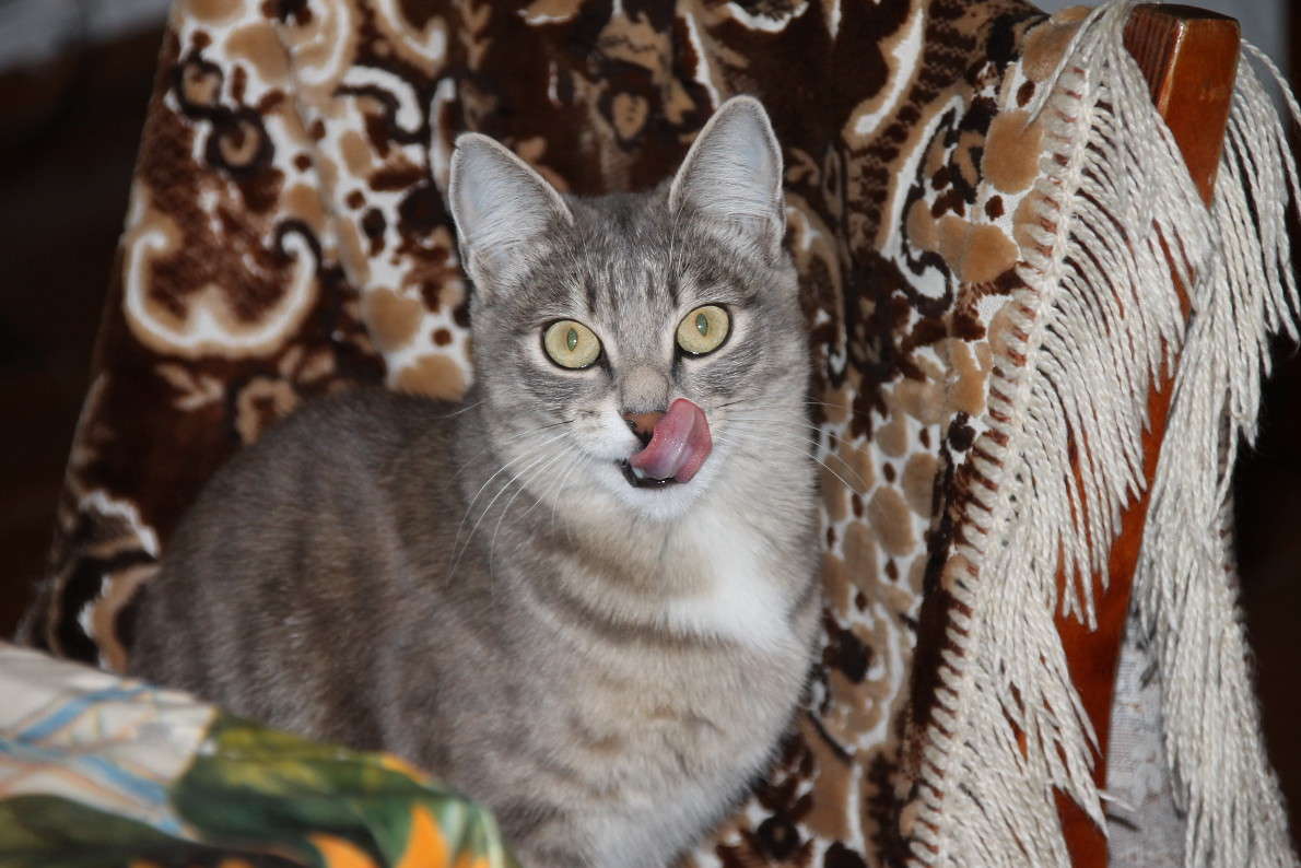 ������� ����� �������  �� PhotoGeek.ru #�������� ��� #�������� ���