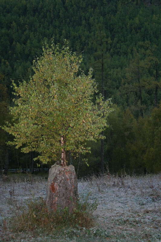 ������ ����� �������  �� PhotoGeek.ru #������ ��� ������� #������