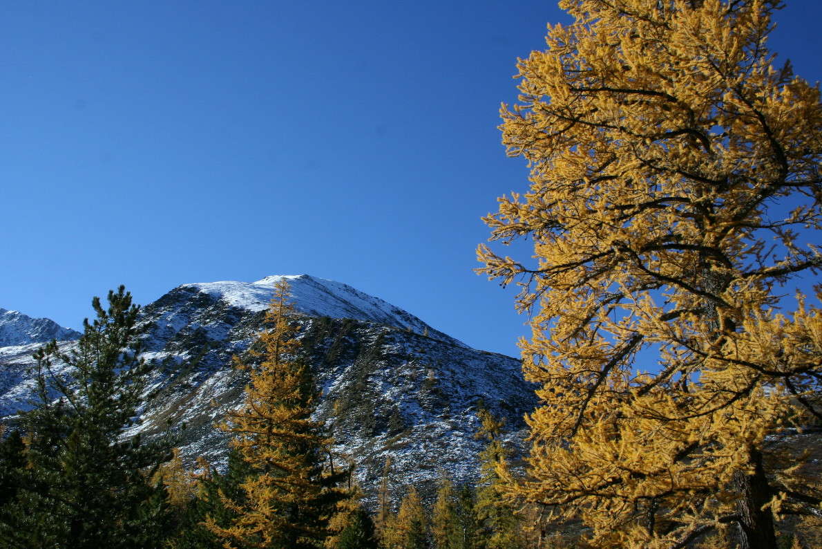 �����. ����� �������  �� PhotoGeek.ru #������ ��� ������� #������