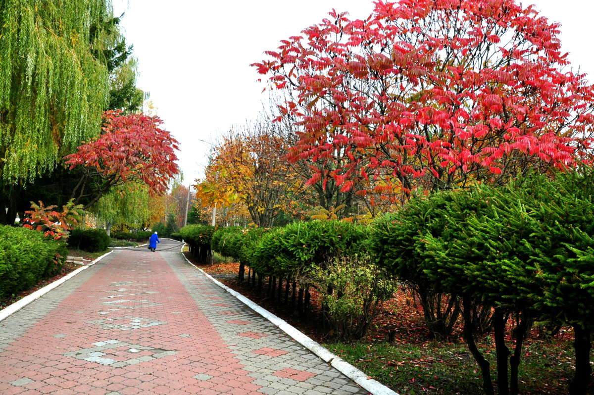 ����...������...� ����� ������! ����� ������� �������� �� PhotoGeek.ru #������ ��� �������