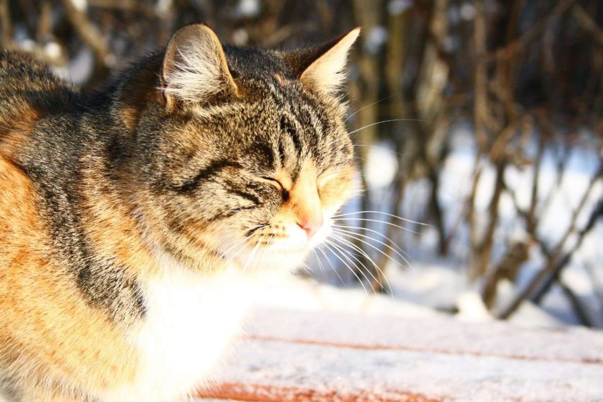 � ���� �����, ������� ���... ����� ���� ����� �� PhotoGeek.ru #�������� ��� #������� #���� #���