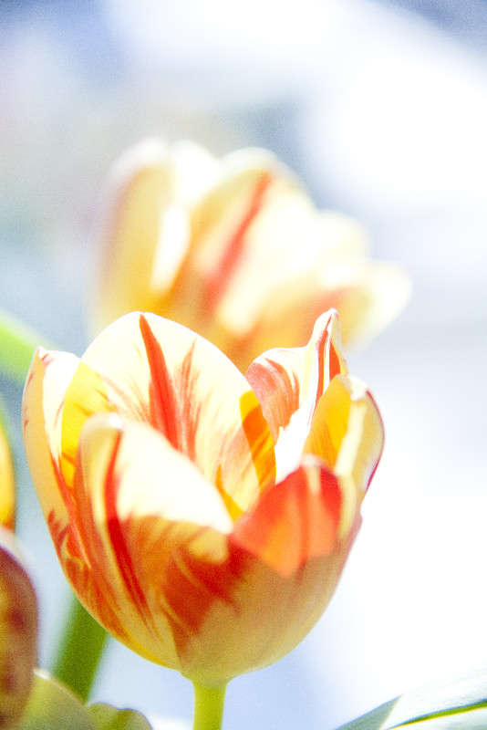 ����� ����� ����� ���� ����� �� PhotoGeek.ru #����� #������ ��� �������