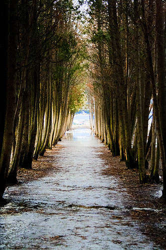 �� ���� � ����� ����� ���� ����� �� PhotoGeek.ru #����� #������ ��� ������� #����� #��������� ������ #����