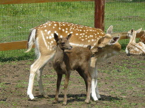 ������ ����� ���� ����� �� PhotoGeek.ru #�������� ��� #������ ��� ������� #����� ��� ��� ��������� #����� ��������