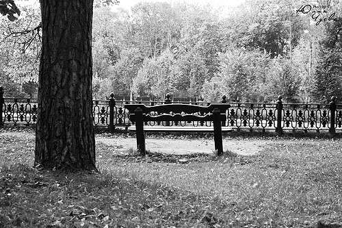 ����������� ����� ���� ����� �� PhotoGeek.ru #����� #������ ��� ������� #��������� ������ #������ #����� �������� #�����-��� #�����-�����