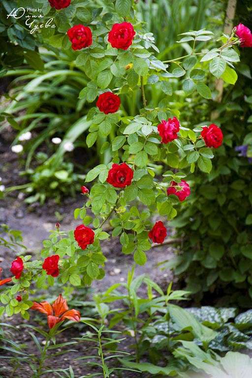 ����� ����� ���� ����� �� PhotoGeek.ru #������ ��� ������� #����� ��������������