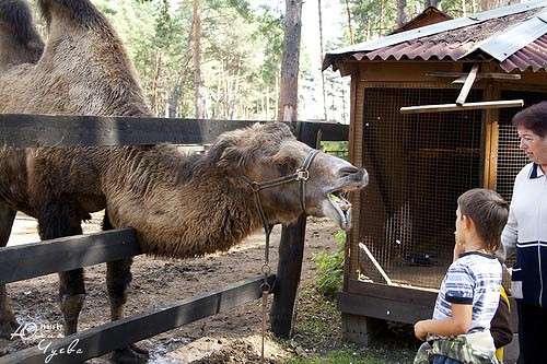 ���������))) ����� ���� ����� �� PhotoGeek.ru #�������� ��� #������� #����� ��� ��� ���������