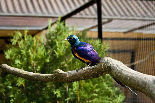 ��������� ����� ���� ����� �� PhotoGeek.ru #�������� ��� #������ ��� ������� #����� ��� ��� ��������� #����� �������������� #����� ��������