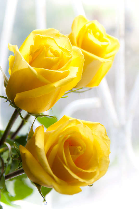 ���� ����� ���� ����� �� PhotoGeek.ru #��������� #������ ��� ������� #����� ��������������