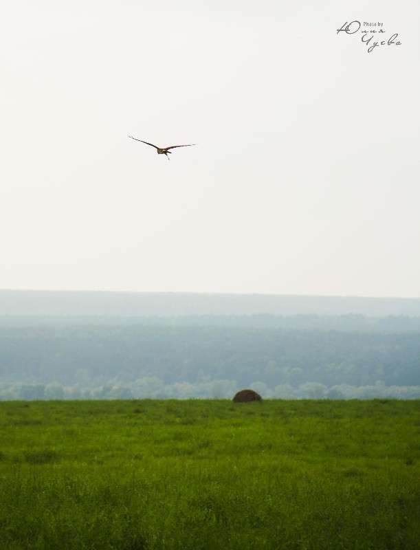 ����� ����� ���� ����� �� PhotoGeek.ru #�������� ��� #������ ��� ������� #����� ��� ��� ��������� #����� �������������� #����� ��������