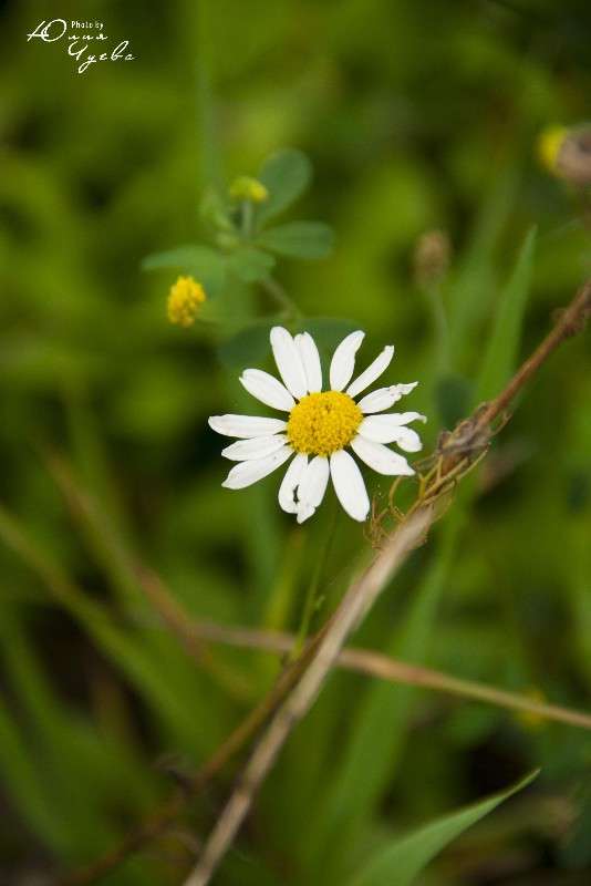 �������� ������ ���������� �������� ����� ���� ����� �� PhotoGeek.ru #����� #������ ��� ������� #����� �������������� #����� ��������