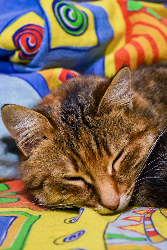 �� ���... ����� ����� �������� �� PhotoGeek.ru #�������� ��� #�������� ���