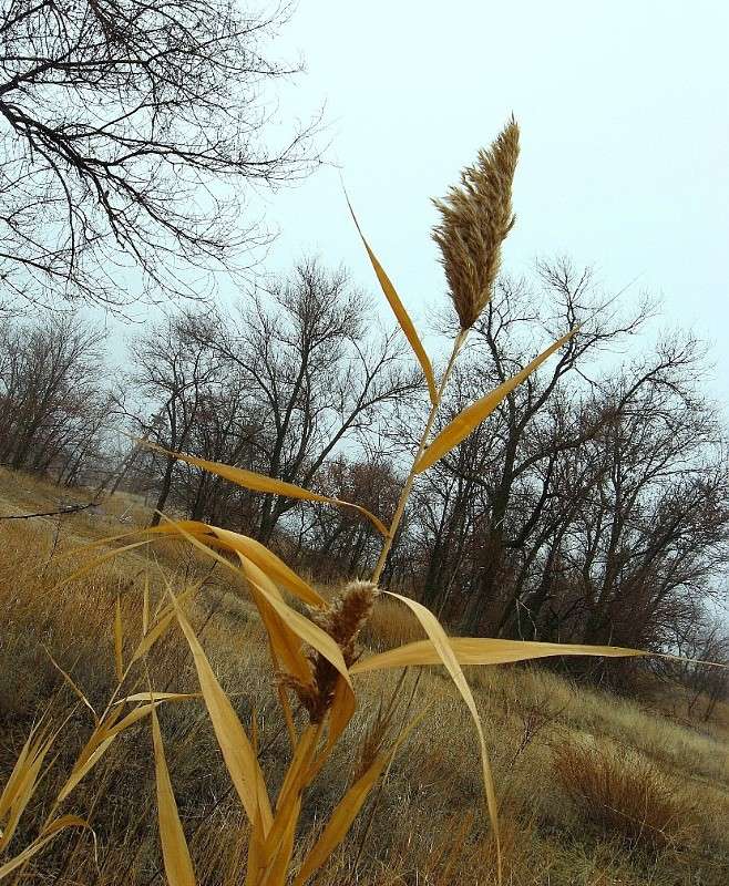 � ������� �������� ! ����� Natali  ��������� �� PhotoGeek.ru #������ ��� ������� #���������