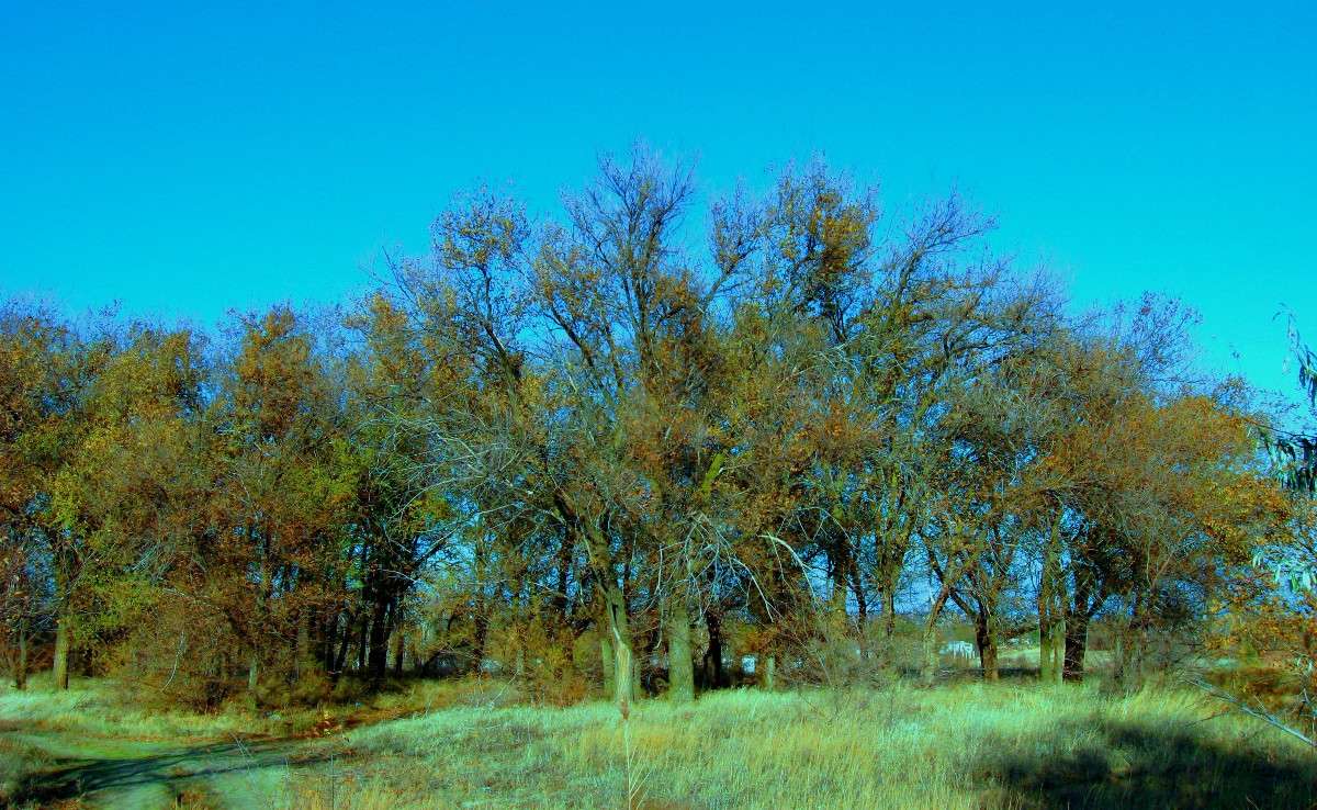 ��������� �����, �����. ))) ���� � ������...))) ����� Natali  ��������� �� PhotoGeek.ru #������ ��� �������