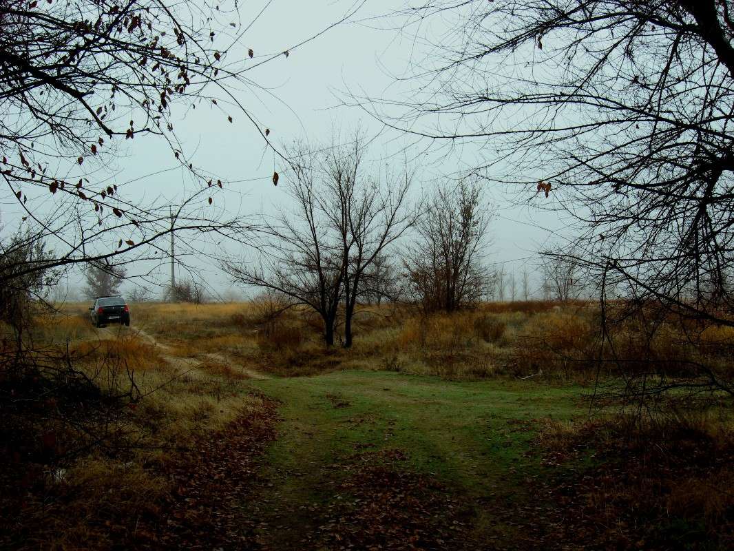 �� �������! �����, ���� ������...))) ����� Natali  ��������� �� PhotoGeek.ru #������ ��� ������� #�������� ����������