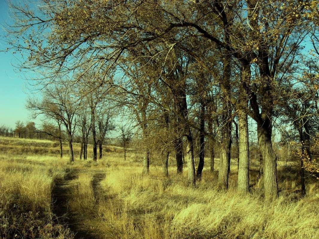 �� ���������� � ����, �� ��������� � ����. ����� ������ ����.... ) ����� Natali  ��������� �� PhotoGeek.ru #������ ��� �������