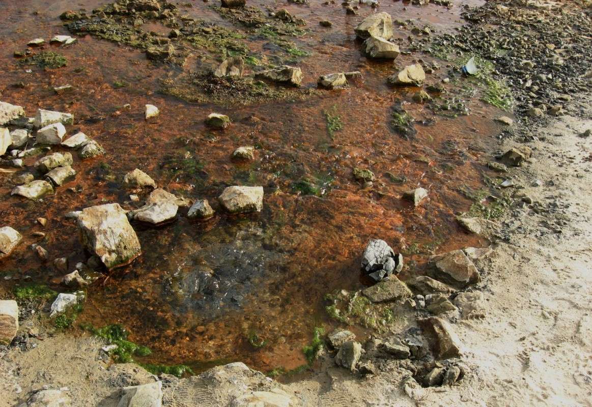 ������ ����� ���� ����� Natali  ��������� �� PhotoGeek.ru #������ ��� �������