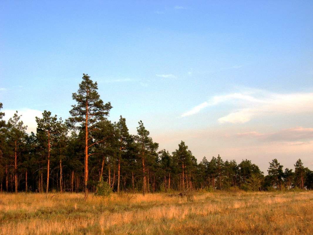 ... ����� Natali  ��������� �� PhotoGeek.ru #������ ��� �������