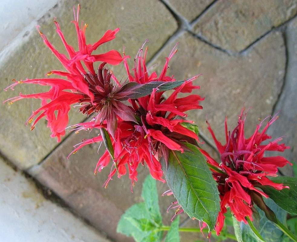 ... ����� Natali  ��������� �� PhotoGeek.ru #����� ��������������