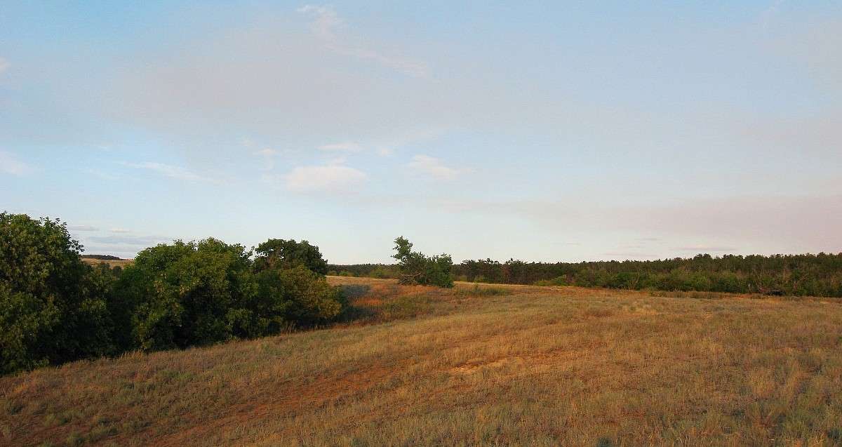 ... ����� Natali  ��������� �� PhotoGeek.ru #������ ��� �������