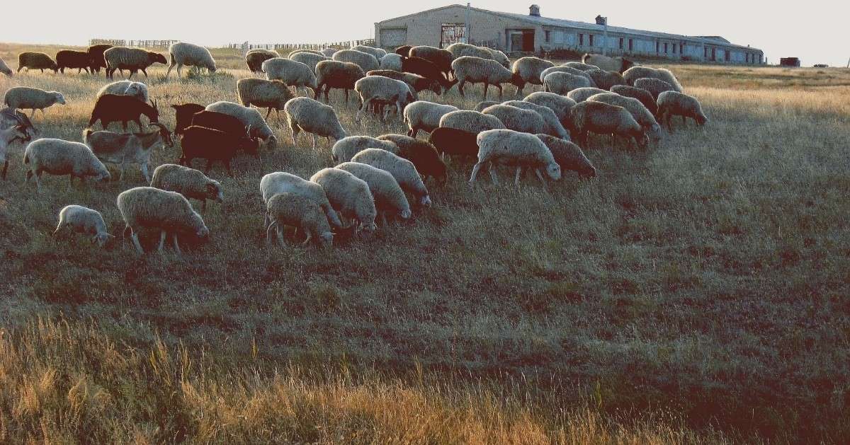 �������� ���� �����...) ����� Natali  ��������� �� PhotoGeek.ru #�������� ��� #������ ��� ������� #�������� ����������