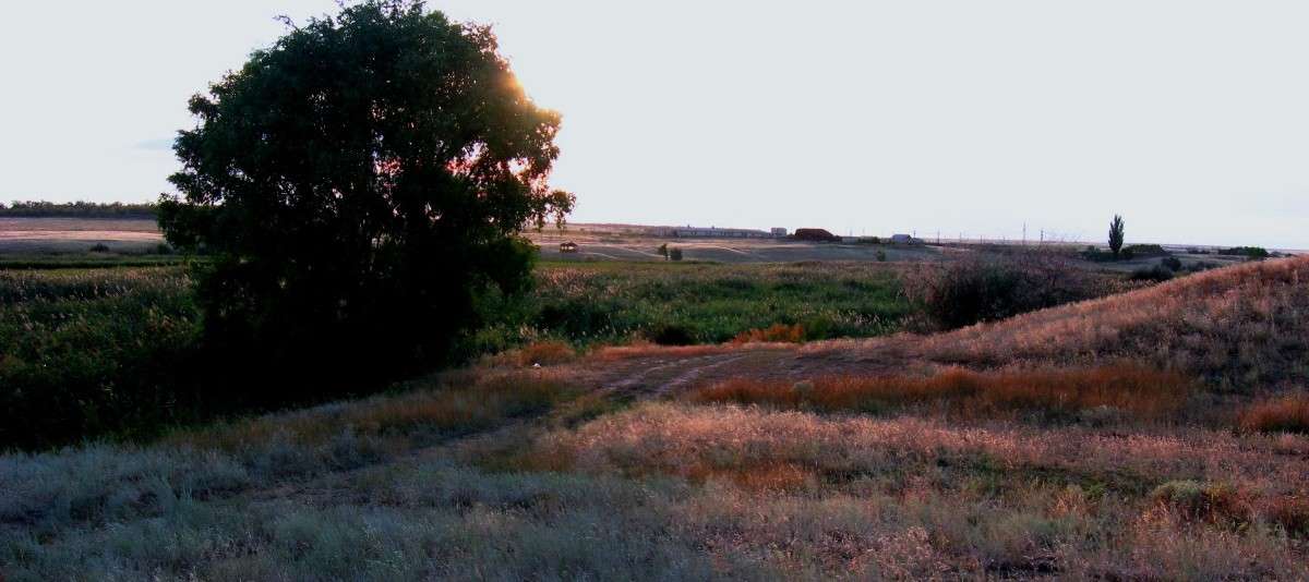 ... ����� Natali  ��������� �� PhotoGeek.ru #������ ��� ������� #����� ��������������